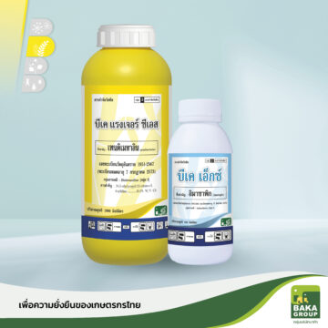 บีเค แรงเจอร์ ซีเอส + เอ็กซ์