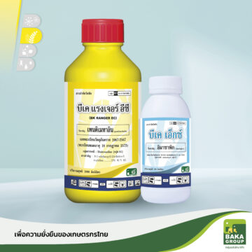 บีเค แรงเจอร์ อีซี + เอ็กซ์